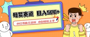 小红书育儿资料,一部手机可操作,多种变现方式,日入500+,私域变现,长期可持续项目【揭秘】-葛仙仙资源库