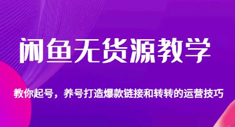 闲鱼无货源教学，教你起号，养号打造爆款链接以及转转的运营技巧-葛仙仙资源库