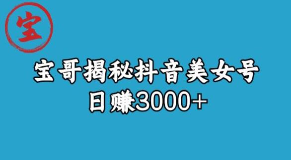 宝哥揭秘抖音美女号玩法，日赚3000+【揭秘】-葛仙仙资源库