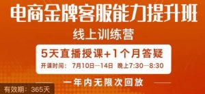 电商金牌客服能力提升班,提升客服能力是你店铺业绩的关键要素-葛仙仙资源库