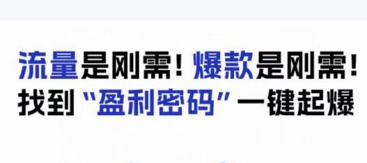 电商盈利精品课：6大盈利密码让产品更好卖，流量是刚需！爆款是刚需！找到”盈利密码”一键起爆-葛仙仙资源库