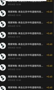 接码无限撸红包一分钟0.6无脑操作一天保底利润200-葛仙仙资源库