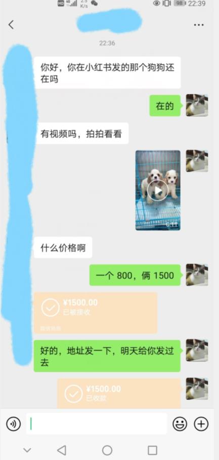 外边收费3980的同城萌宠项目，用最冷门的玩法冲击最热门的市场【揭秘】-葛仙仙资源库