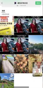 外面收费198的最新视频号连怼技术,条条原创,条条爆单【揭秘】-葛仙仙资源库