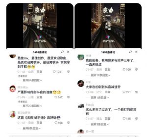 副业拆解:抖音杰伦音乐号涨粉变现项目,视频版一条龙实操玩法分享给你-葛仙仙资源库