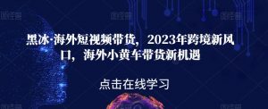 黑冰·海外短视频带货，2023年跨境新风口，海外小黄车带货新机遇-葛仙仙资源库