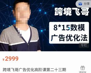 跨境飞哥·广告优化高阶课第二十三期,8*15数模广告优化法,用数据驱动决策-葛仙仙资源库