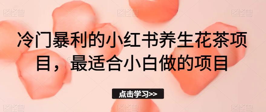冷门暴利的小红书养生花茶项目，最适合小白做的项目【揭秘】-葛仙仙资源库