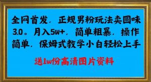 全网首发正规男粉玩法卖圆味3.0,月入5W+,简单粗暴,操作简单,保姆式教学,小白轻松上手-葛仙仙资源库