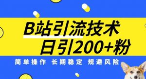 B站引流技术:每天引流200精准粉,简单操作,长期稳定,规避风险-葛仙仙资源库