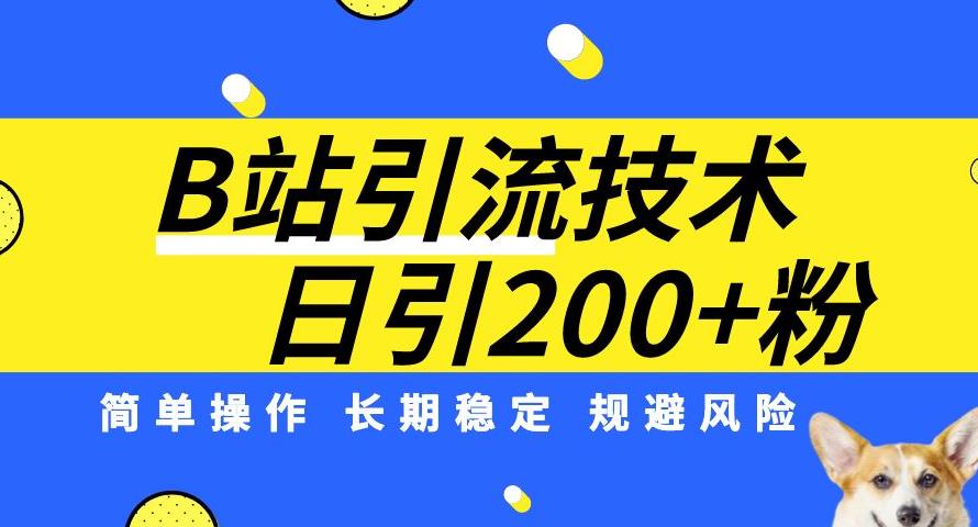 B站引流技术：每天引流200精准粉，简单操作，长期稳定，规避风险-葛仙仙资源库