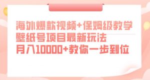 海外爆款视频+保姆级教学，壁纸号项目最新玩法，月入10000+教你一步到位【揭秘】-葛仙仙资源库