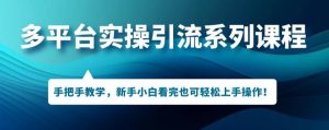 多平台引流实操系列课程,新手小白看完也可轻松上手进行引流操作-葛仙仙资源库