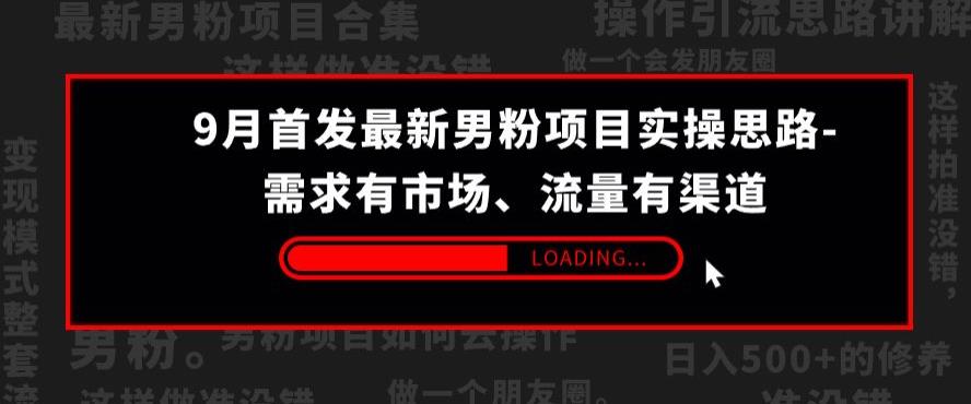 9月首发最新男粉项目实操思路-需求有市场，流量有渠道【揭秘】-葛仙仙资源库