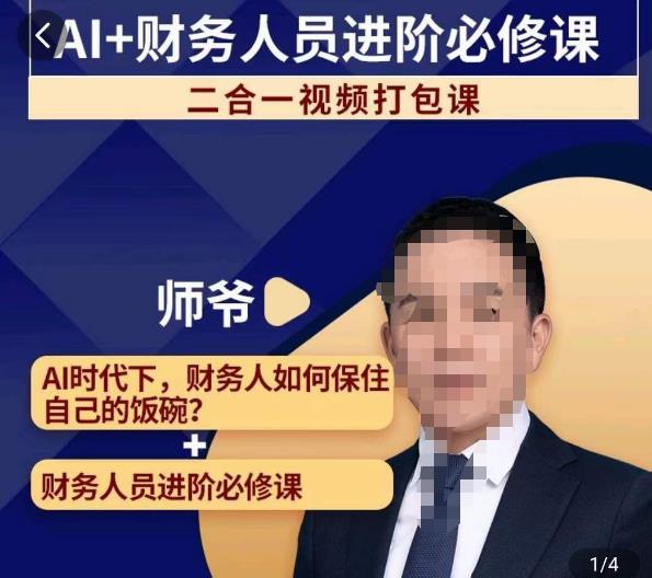 AI+财务人员进阶必修课二合一视频打包课，财务人员进阶必修课-葛仙仙资源库