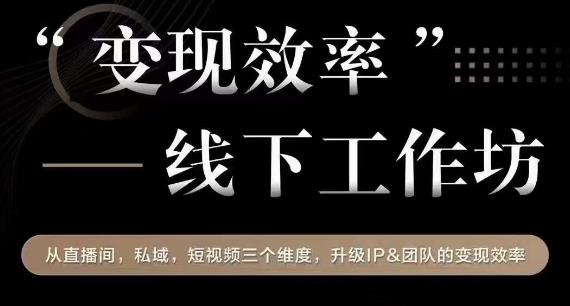 变现效率线下工作坊，从‮播直‬间、私域、‮视短‬频‮个三‬维度，升级IP和团队变现效率-葛仙仙资源库