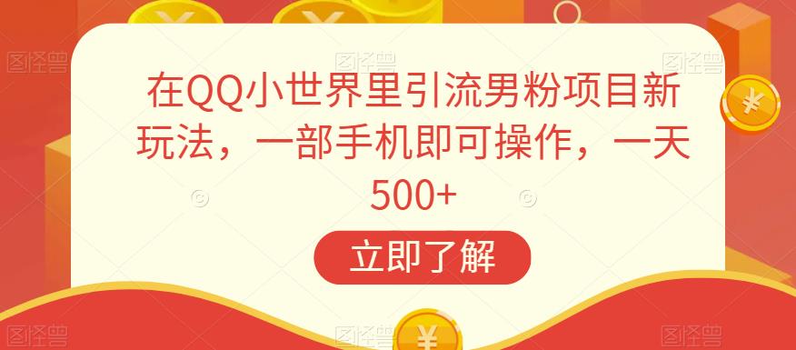在QQ小世界里引流男粉项目新玩法，一部手机即可操作，一天500+【揭秘】-葛仙仙资源库