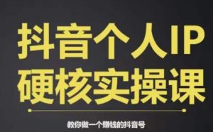个人IP创富系统实战课,商业定位,流量打造,短视频变现,教你做个赚钱的抖音号-葛仙仙资源库