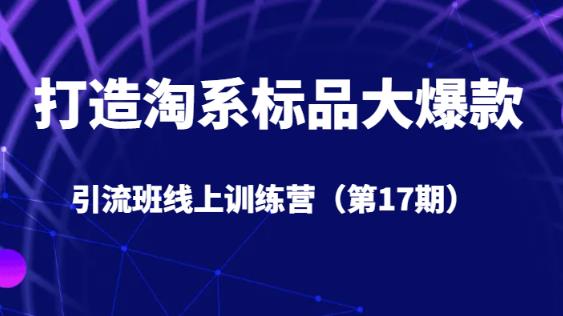 打造淘系标品大爆款引流班线上训练营（第17期）5天直播授课-葛仙仙资源库