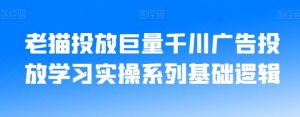 老猫投放巨量千川广告投放学习实操系列基础逻辑-葛仙仙资源库