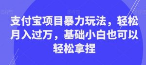 支付宝项目暴力玩法,轻松月入过万,基础小白也可以轻松拿捏【揭秘】-葛仙仙资源库