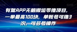 有驾APP无脑搬运零撸项目,一单最高100块,单账号可撸3次,可多号操作【揭秘】-葛仙仙资源库