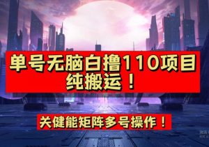 9月全网首发，单号直接白撸110！可多号操作，无脑搬运复制粘贴【揭秘】-葛仙仙资源库