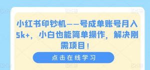 小红书印钞机——号成单账号月入5k+，小白也能简单操作，解决刚需项目【揭秘】-葛仙仙资源库