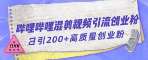 哔哩哔哩B站混剪视频引流创业粉日引300+-葛仙仙资源库