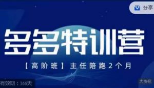 纪主任·多多特训营高阶班【9月13日更新】,拼多多最新玩法技巧落地实操-葛仙仙资源库