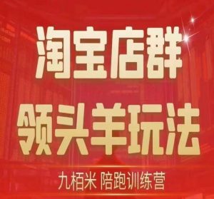 九栢米-淘宝店群领头羊玩法,教你整个淘宝店群领头羊玩法以及精细化/终极蓝海/尾销等内容-葛仙仙资源库