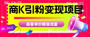 商K引粉变现项目,高客单价精准流量【揭秘】-葛仙仙资源库