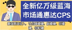 全新亿万级蓝海市场通惠达cps,最强管道收入,让你睡着赚、躺着赚、玩着赚、轻松赚【揭秘】-葛仙仙资源库