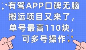 有驾APP口碑无脑搬运项目又来了，单号最高110块，可多号操作-葛仙仙资源库