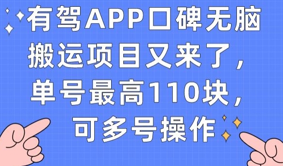 有驾APP口碑无脑搬运项目又来了，单号最高110块，可多号操作-葛仙仙资源库