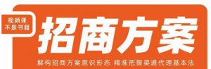 王昕招商方案,解构招商方案意识形态,精准把握渠道代理基本法-葛仙仙资源库
