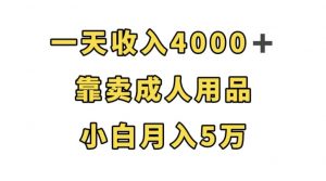 一天收入4000+,靠卖成人用品,小白轻松月入5万【揭秘】-葛仙仙资源库