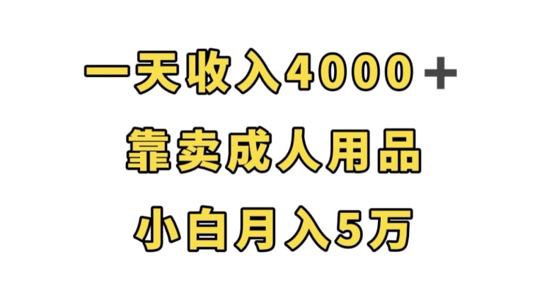 一天收入4000+，靠卖成人用品，小白轻松月入5万【揭秘】-葛仙仙资源库