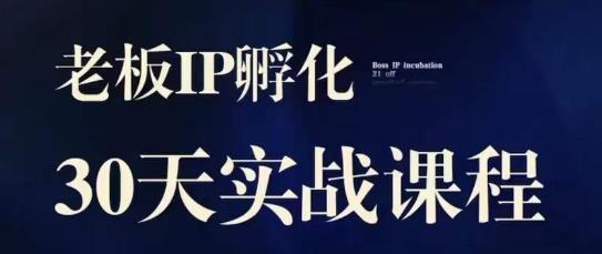 诸葛·2023老板IP实战课，实体同城引流获客，IP孵化必听-葛仙仙资源库