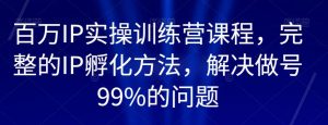 百万IP实操训练营课程,完整的IP孵化方法,解决做号99%的问题-葛仙仙资源库