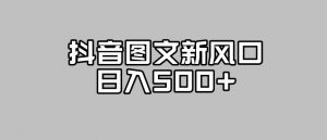 抖音图文最新风口,流量扶持非常高,日入500+【揭秘】-葛仙仙资源库