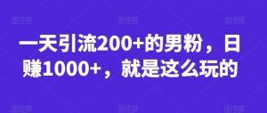 一天引流200+的男粉,日赚1000+,就是这么玩的【揭秘】-葛仙仙资源库