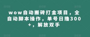 wow自动搬砖打金项目,全自动脚本操作,单号日撸300+,解放双手【揭秘】-葛仙仙资源库