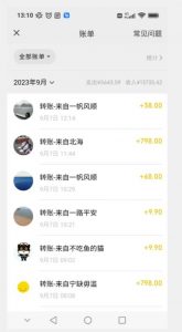 卖古籍电子书，作品只需要简单的图片去重，高客单价高利润，月入五位轻轻松松-葛仙仙资源库