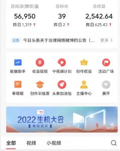 全新蓝海,西瓜视频流量掘金项目,简单上手适合0基础小白,暴力玩法日入500+【揭秘】-葛仙仙资源库