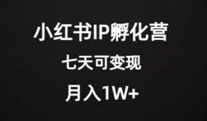 价值2000+的小红书IP孵化营项目,超级大蓝海,七天即可开始变现,稳定月入1W+-葛仙仙资源库