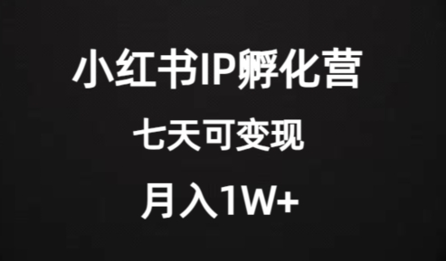 价值2000+的小红书IP孵化营项目，超级大蓝海，七天即可开始变现，稳定月入1W+-葛仙仙资源库