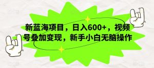 新蓝海项目,日入600+,视频号叠加变现,新手小白无脑操作【揭秘】-葛仙仙资源库