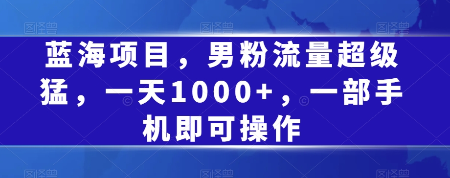 蓝海项目，男粉流量超级猛，一天1000+，一部手机即可操作【揭秘】-葛仙仙资源库
