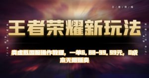 王者荣耀新玩法,卖虚拟国服操作教程,一单6.88-99.99元,0成本无限贩卖【揭秘】-葛仙仙资源库